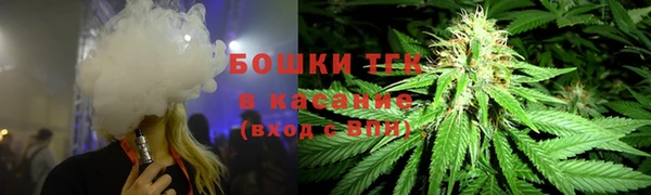 гашик Медвежьегорск