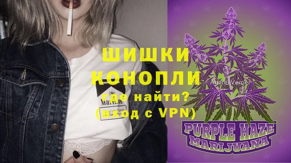 молекула духа Майский