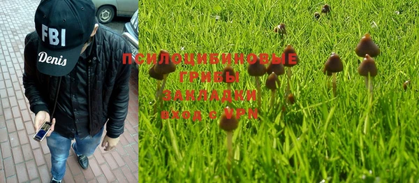 таблы Медногорск