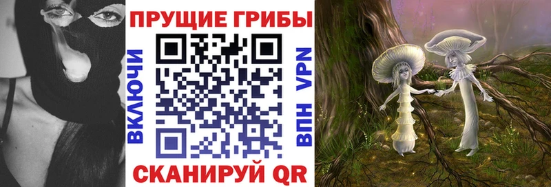 Купить закладки  Костерёво  Псилоцибиновые грибы Psilocybe 